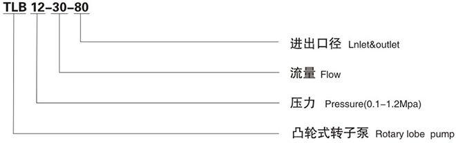 凸輪轉(zhuǎn)子泵廠家